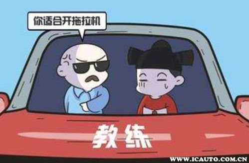 教练送烟多少钱一盒