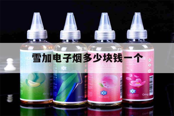 雪加电子烟多少块钱一个(雪加电子烟多少块钱一个合适)-第1张图片-番响电子烟