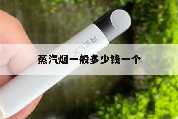 蒸汽烟一般多少钱一个的简单介绍-第1张图片-电子烟烟油论坛