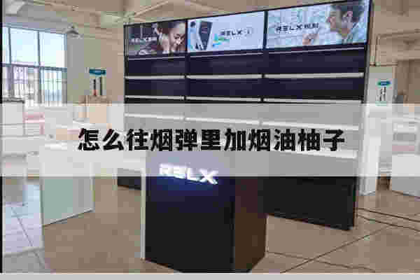 怎么往烟弹里加烟油柚子的简单介绍-第1张图片-电子烟烟油论坛