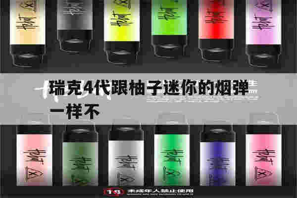 瑞克4代跟柚子迷你的烟弹一样不的简单介绍-第1张图片-电子烟烟油论坛