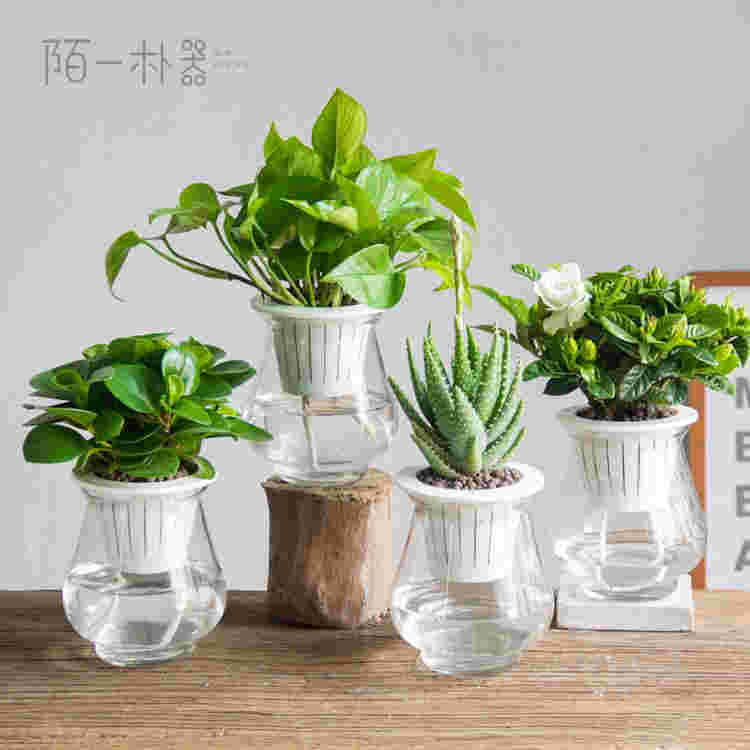 绿萝瓶装烟油(绿萝烟油变黄了还可以抽吗)
