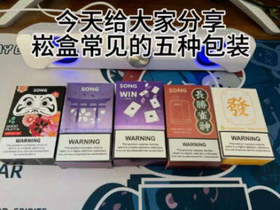 Song菘盒一次性电子烟：2025热门口味深度测评与选购指南