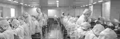 北极豚，北极豚电子烟，北极豚电子烟官网