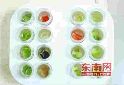 食安“守夜人”：守护舌尖上的安全