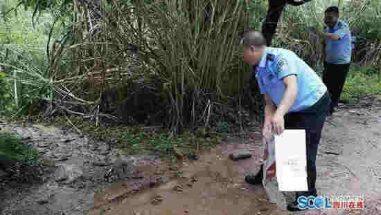 萌萌鼬獾跑到村民家中赖着不走 民警送其“回家”