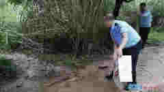 萌萌鼬獾跑到村民家中赖着不走 民警送其“回家”