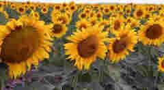 中建二局旗下公司未按图纸施工被广州住建局通报