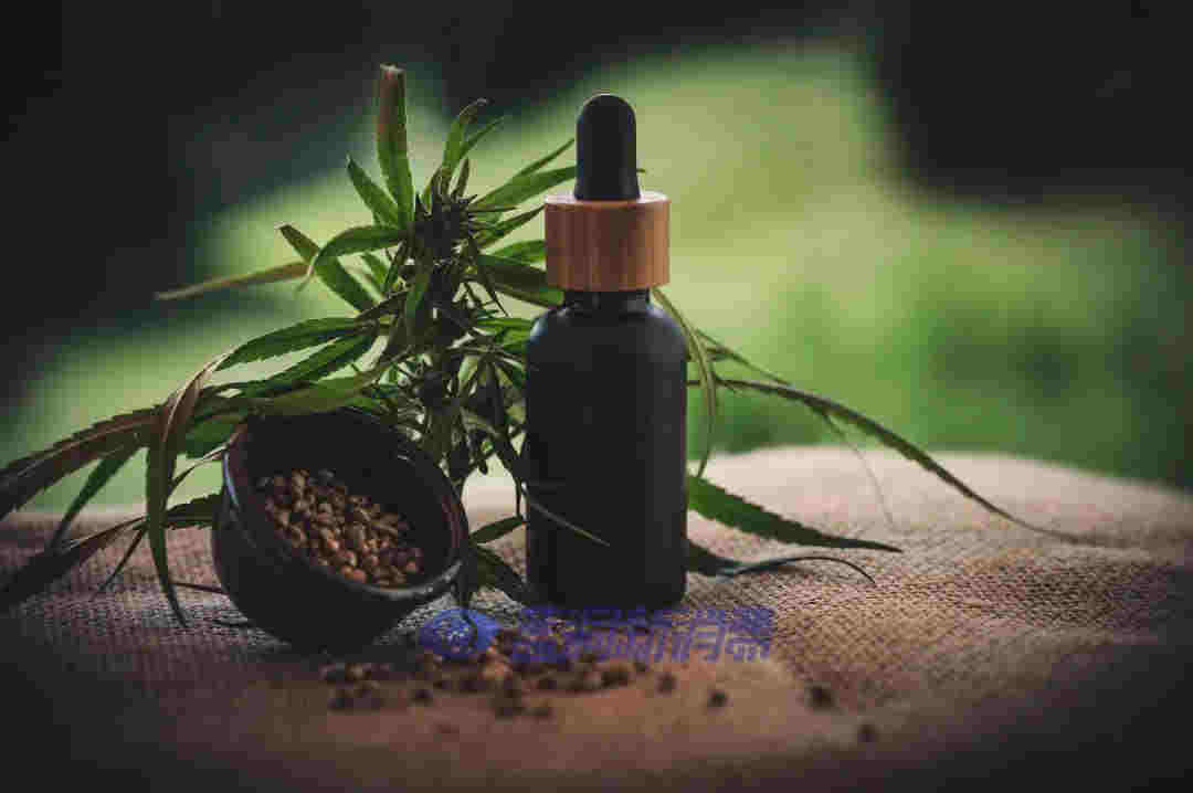 日本为工业大麻松绑,将允许从大麻叶、花中提取CBD成分