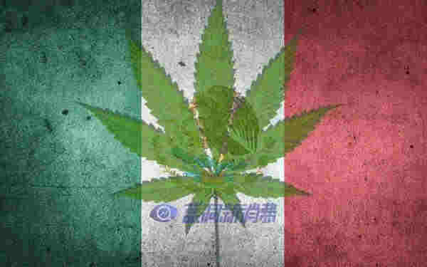 刚刚，墨西哥正式通过大麻合法化，成为全球第三个大麻完全合法化的国家！ 