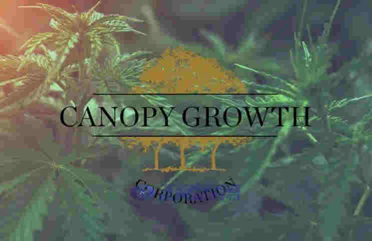 刚刚，墨西哥正式通过大麻合法化，成为全球第三个大麻完全合法化的国家！ 