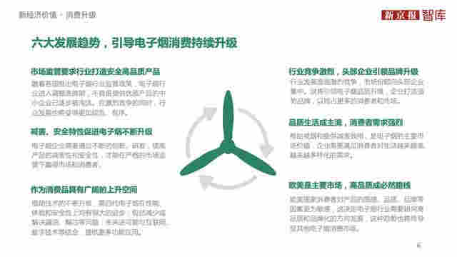 中国电子烟行业价值洞察报告2020 
