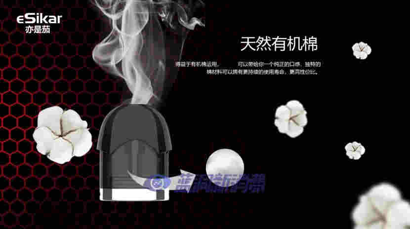 蓝洞电子烟巡展之重庆站品牌巡礼：eSikar亦是茄 