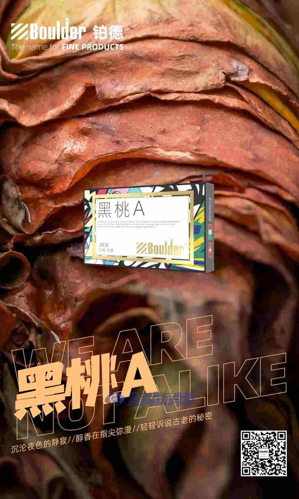 铂德新品首发：插画印象版KATE Graffiti，潮流视觉，全新升级 