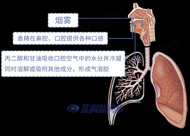 又一个骗局：电子烟的危害，真的比传统烟草大？造谣式科普不可取 